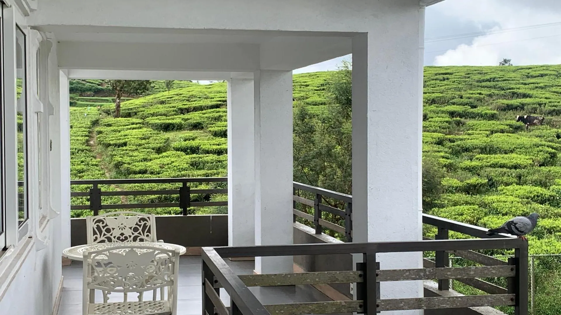 Hotel Queens Lake Cabin Nuwara Eliya